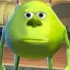 Meet your Posher, Rylee